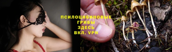 мдпв Балабаново