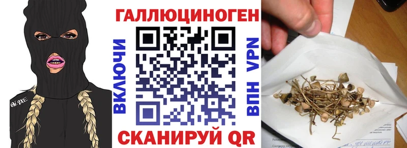Купить Лесосибирск Галлюциногенные грибы Psilocybine cubensis